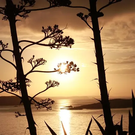 プラヴィダ ダイブハウス