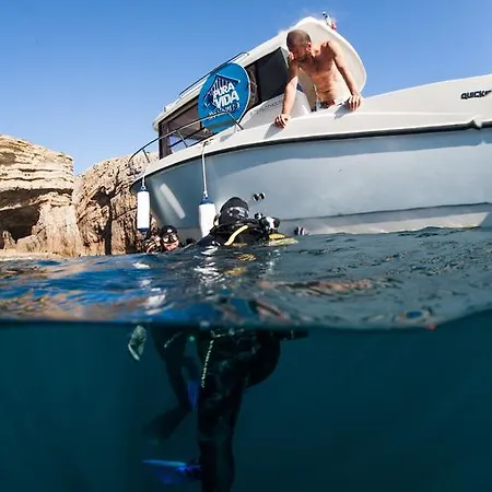 ベッド・アンド・ブレックファスト プラヴィダ ダイブハウス *