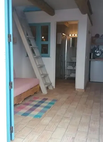 فندق مبيت وإفطار Puravida Divehouse *