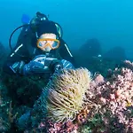 Puravida Divehouse