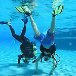فندق مبيت وإفطار Puravida Divehouse *