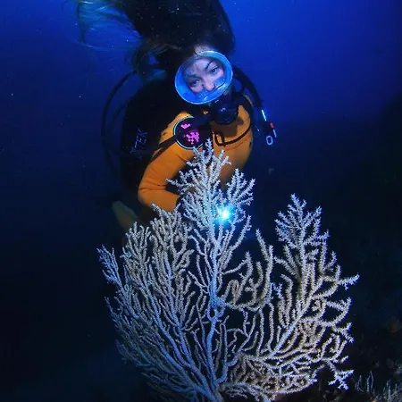 Puravida Divehouse Sagres