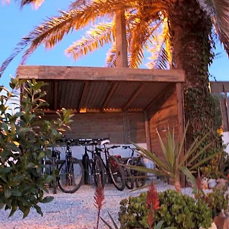 Puravida Divehouse