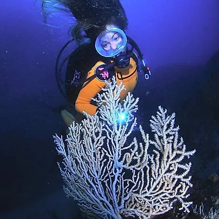 Puravida Divehouse
