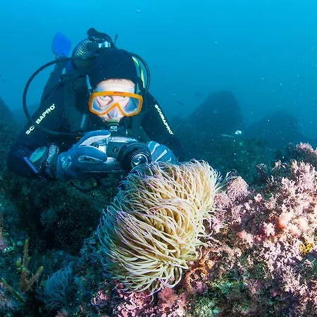 Puravida Divehouse