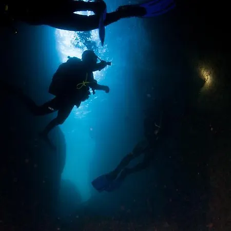 Puravida Divehouse *