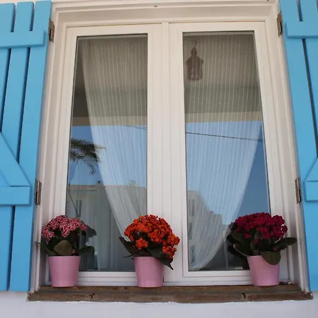 Bed & Breakfast Puravida Divehouse