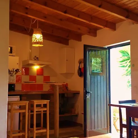 Bed & Breakfast Puravida Divehouse